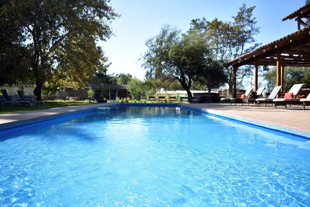 Hotel Noi Blend Colchagua à Santa Cruz Facilités photo