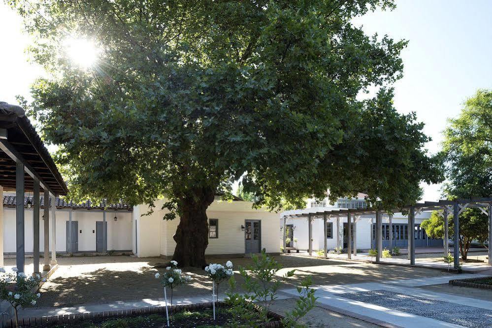 Hotel Noi Blend Colchagua à Santa Cruz Extérieur photo