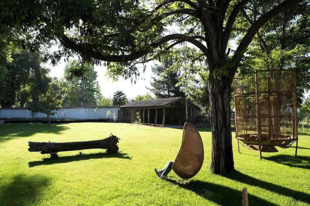 Hotel Noi Blend Colchagua à Santa Cruz Extérieur photo